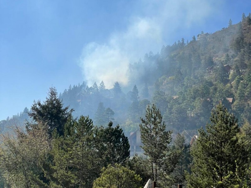 Golpea nuevo incendio forestal a Arteaga