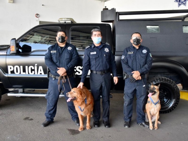 Gradúan a elementos caninos de la PESP