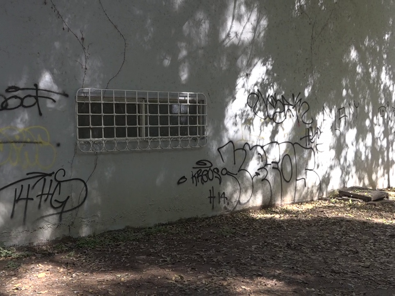 Grafitis dan mal aspecto al Parque Victoria de Lerdo