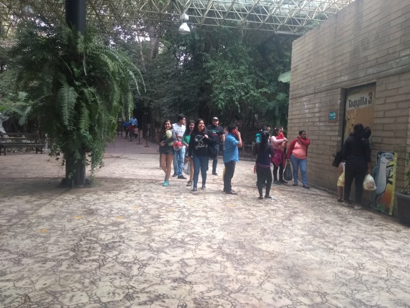 Gran afluencia de visitantes al ZooMAT