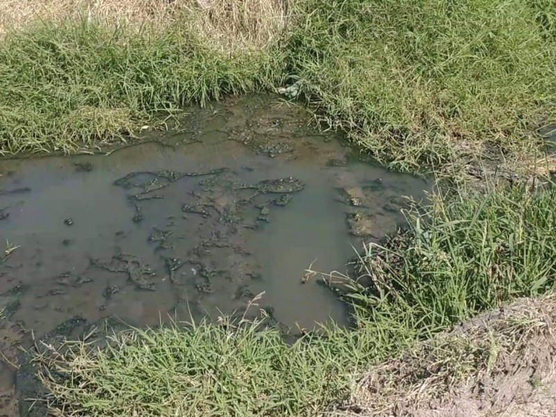 Gran fosa séptica canal Sahuayo-Jiquilpan