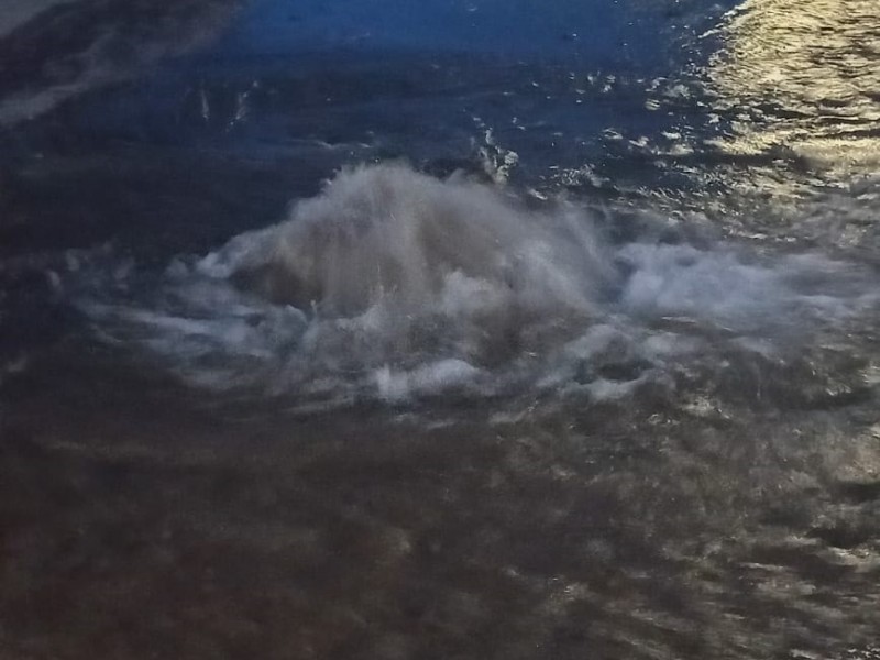 Gran fuga de agua potable en la colonia la fuente