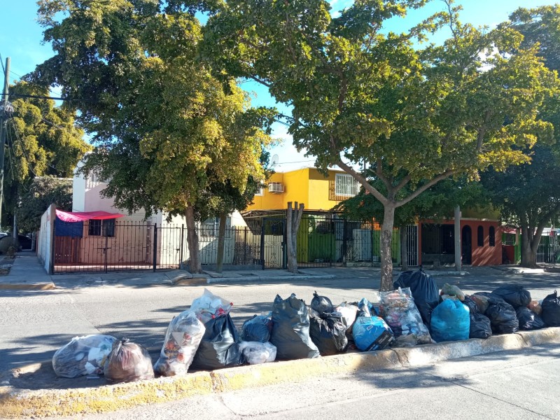 Grandes acumulamientos de basura amanecieron en Infonavit Palos Verdes