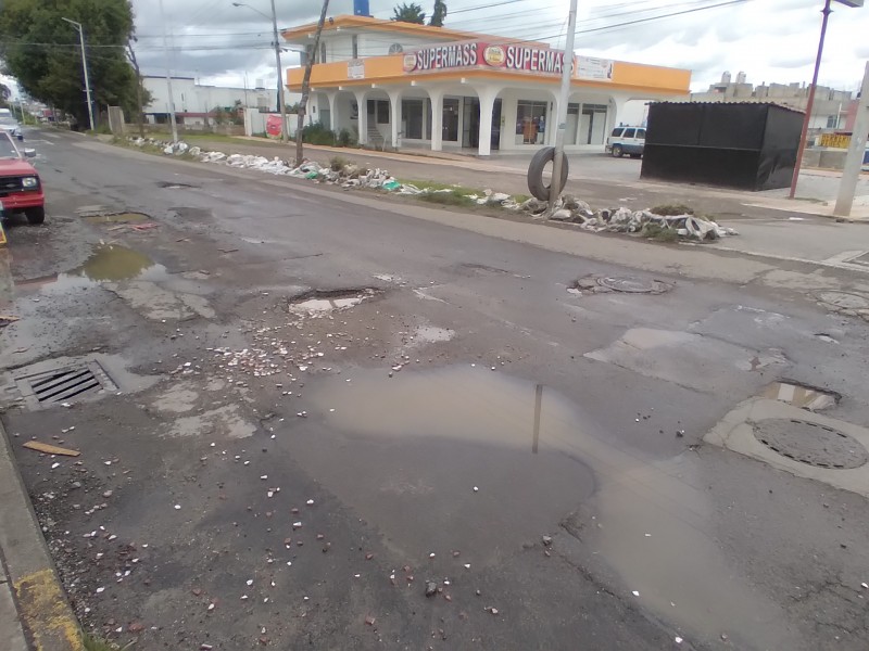 Grandes baches ocasionan molestia entre vecinos de Lomas de Castillotla