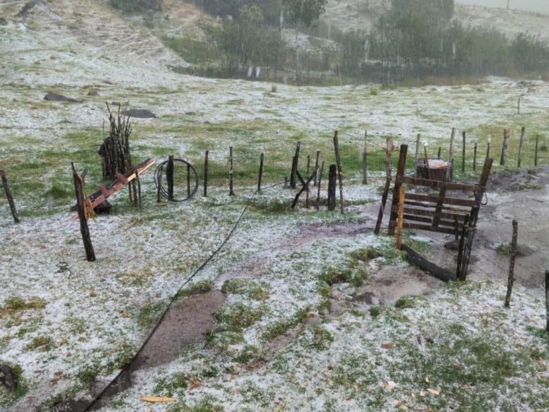 Graniza en Acajete, Coatepec y Xico