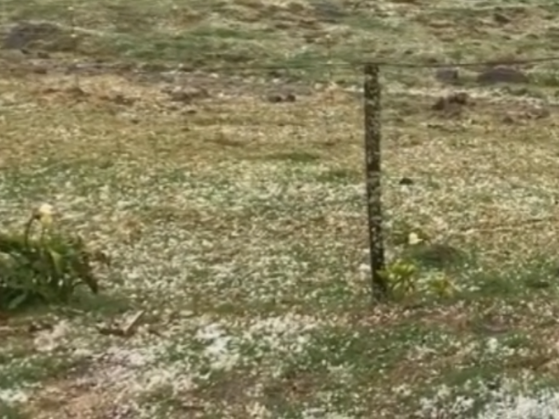 Granizada en la zona alta de Xico