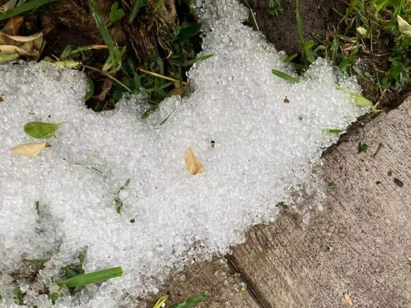 Granizada ocasiona encharcamientos y caída de árboles en Zamora