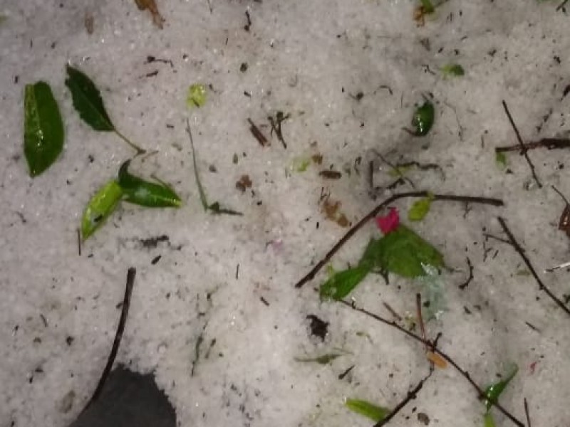 Granizo afectó colonias y barda en la capital