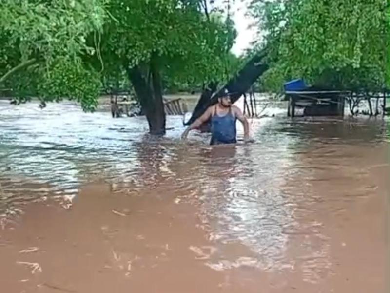 Granjas Micas queda bajo el agua tras lluvias; temen que se repita