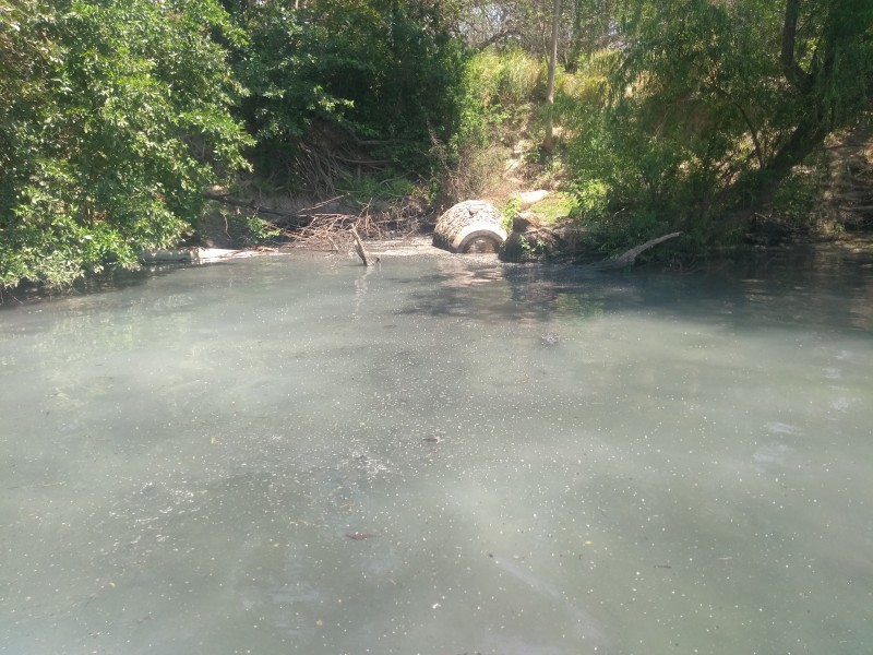 Grave contaminación en márgenes del río Grijalva