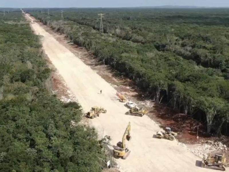 Greenpeace protesta por tala masiva autorizada en selva Maya