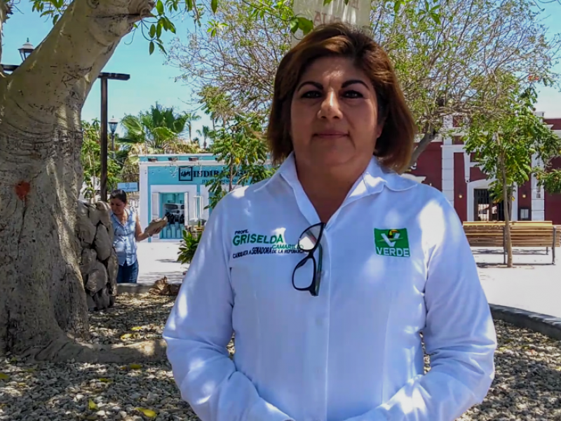 Griselda Camarillo, candidata a senadora del partido verde