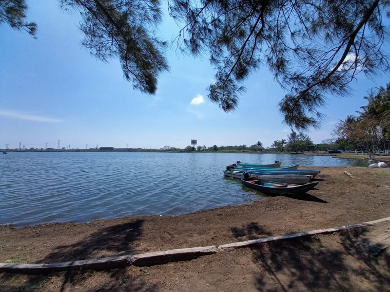 Grupo MAS responsable de contaminar lagunas en Veracruz