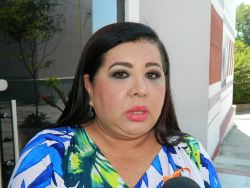 Grupo mayoritario no consideró importante suspender actividad presencial: Rosalva Farías