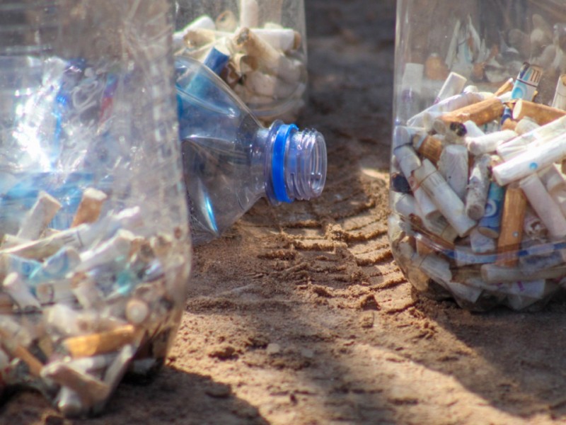 Grupos ambientalistas trabajan en limpieza en Bahía Delfín