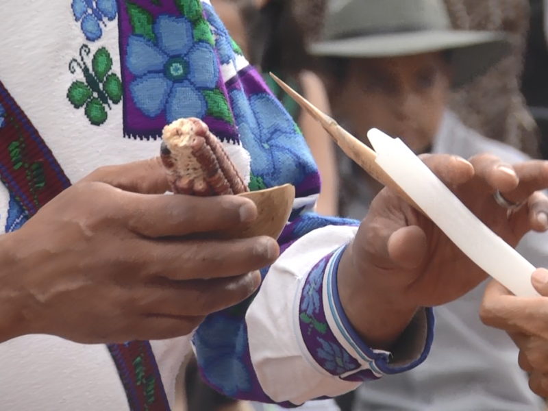 Grupos indígenas buscan alternativas en el turismo local