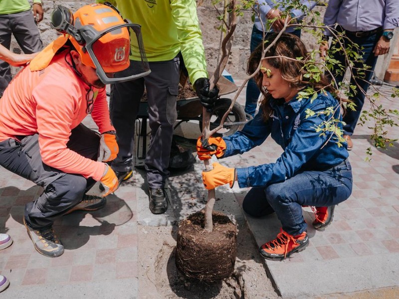 Guadalajara lanza plan para plantar 20 mil árboles y recuperar espacios públicos