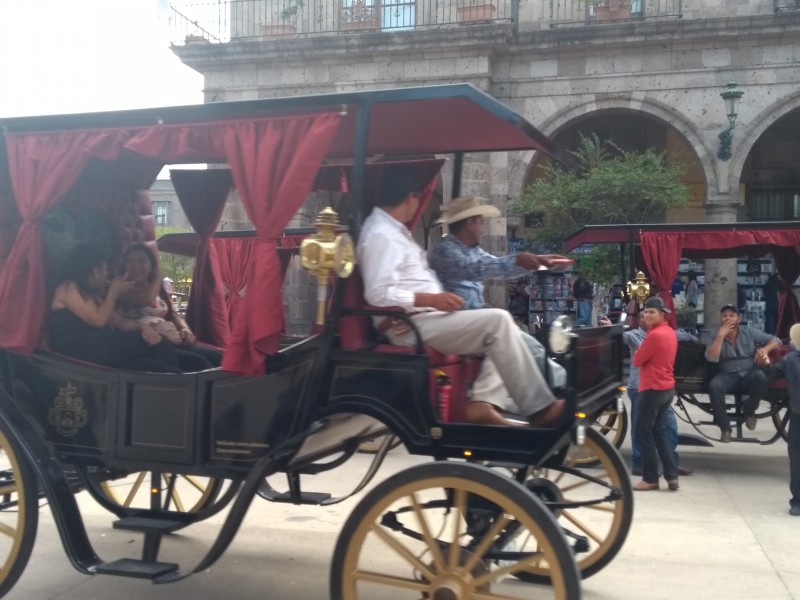 Guadalajara vs Gobierno de Jalisco por calandrias