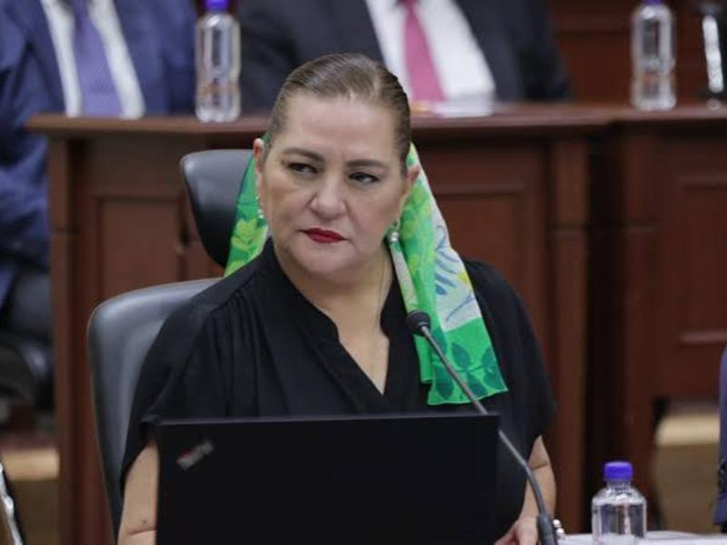 Guadalupe Taddei renuncia como consejera presidenta del INE