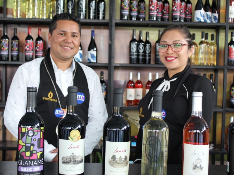 Guanajuato impulsa la vitivinicultura