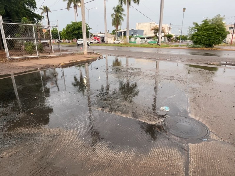 Guasave: Colonia Ermita vive pesadilla pestilente por derrames de aguas negras