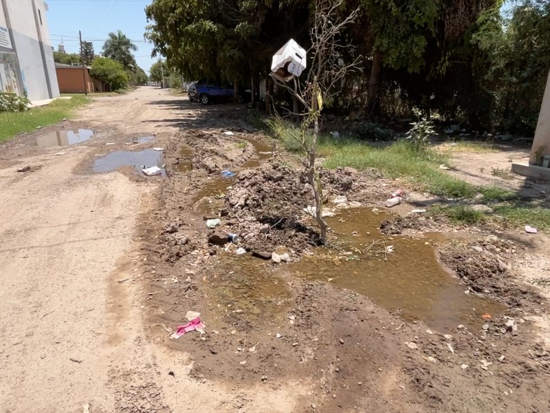 Guasave: Denuncian en colonia Las Palmillas derrame de agua potable