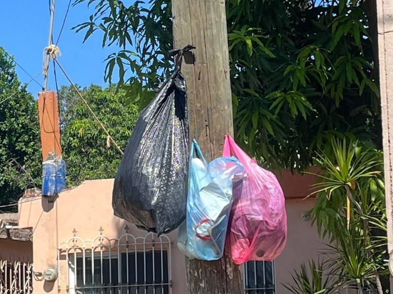 Guasave: Denuncian falla en servicio de recolección de basura en San Pedro