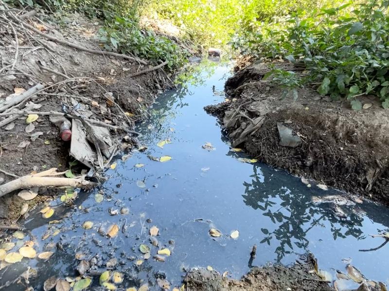Guasave: Derrames pestilentes continúan castigando a familias de la 6 de enero