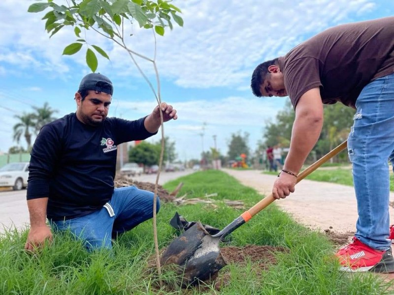 ¡Guasave! Ecología plantará 5 mil árboles mediante análisis del IMPLAN