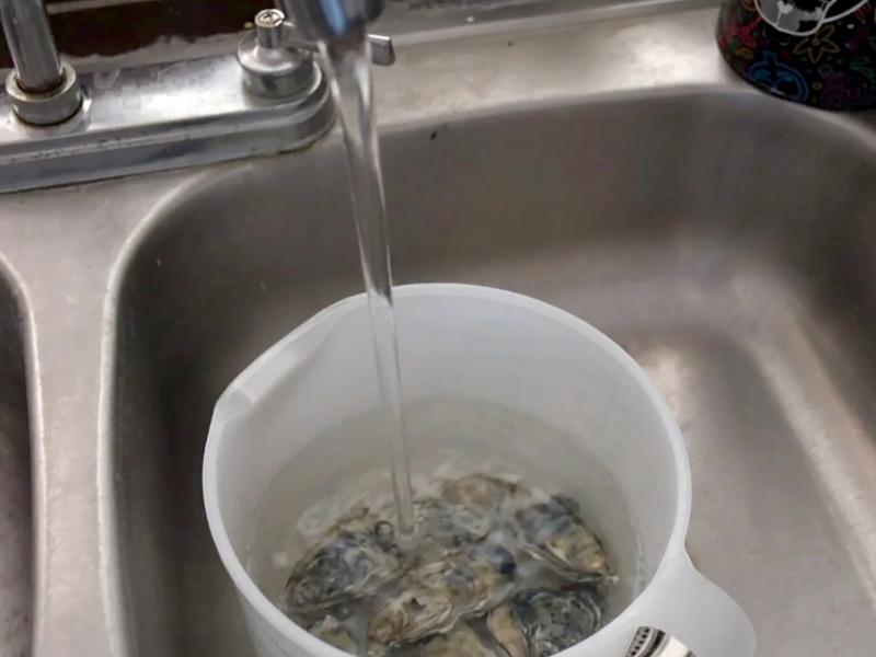 Guasave: Lluvias agravan fallas en pozo 6; deja varias colonias sin agua