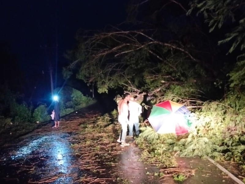 Guasave: Lluvias dejan encharcamientos, árboles caídos y sectores sin luz