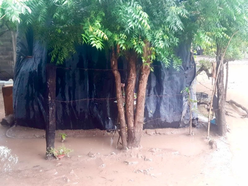 Guasave: Lluvias inundan casas en la colonia Tierra y Libertad