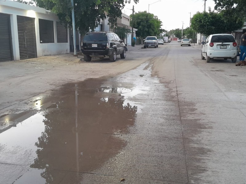 Guasave: Lomas del Mar padece foco de infección por aguas residuales
