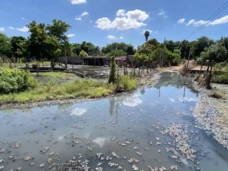 Guasave: Pesadilla sanitaria en El Tecomate por aguas negras