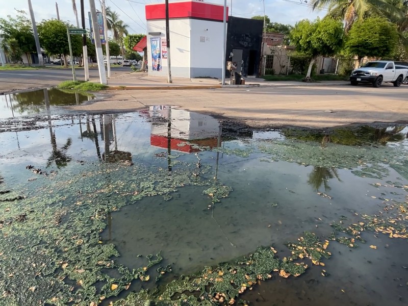 Guasave: Se inunda la calle Antonio Rosales de aguas negras