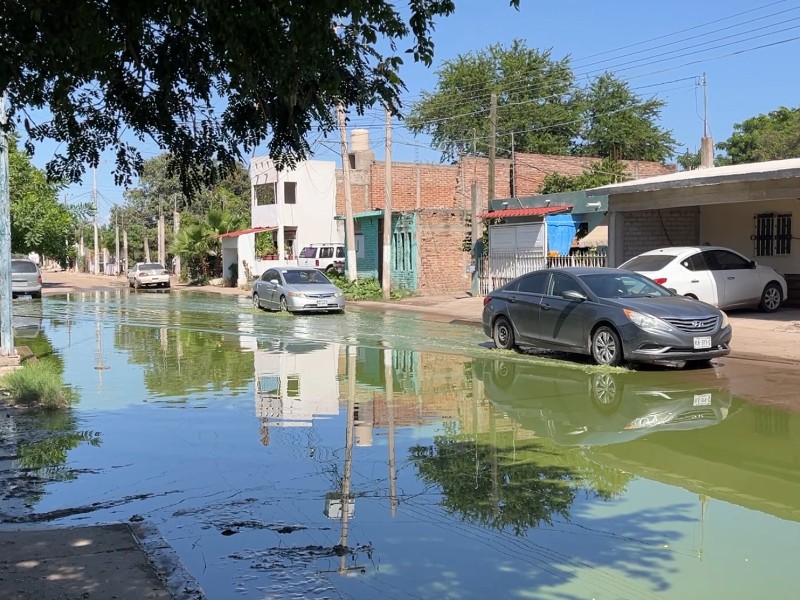 Guasave: Vecinos de la calle José María López Rayón enfrentan crisis sanitaria