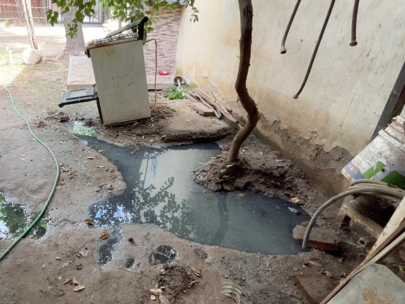 Guasave: Vecinos de la colonia Renato Vega viven entre material fecal