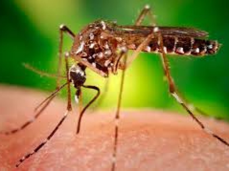 Guaymas con 22 casos de Zika