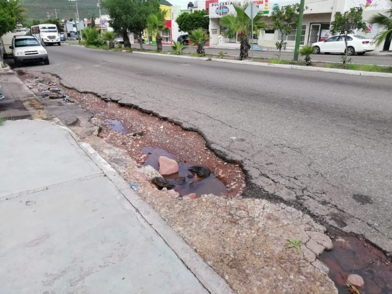 Guaymas no garantiza vida digna para sus pobladores