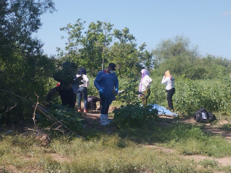 Guerreras Buscadoras localizan dos fosas clandestinas