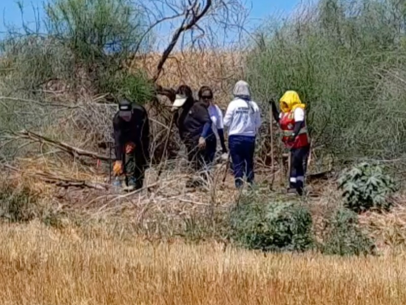 Guerreras encuentran 16 osamentas en predio del Valle del Yaqui
