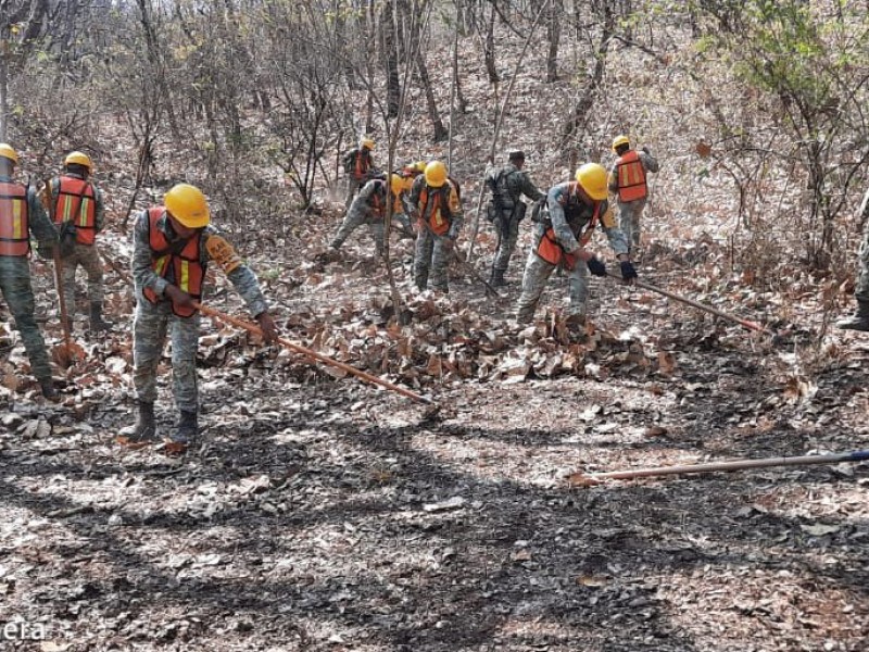 Guerrero en emergencia por incendios forestales activos, considera gobernador