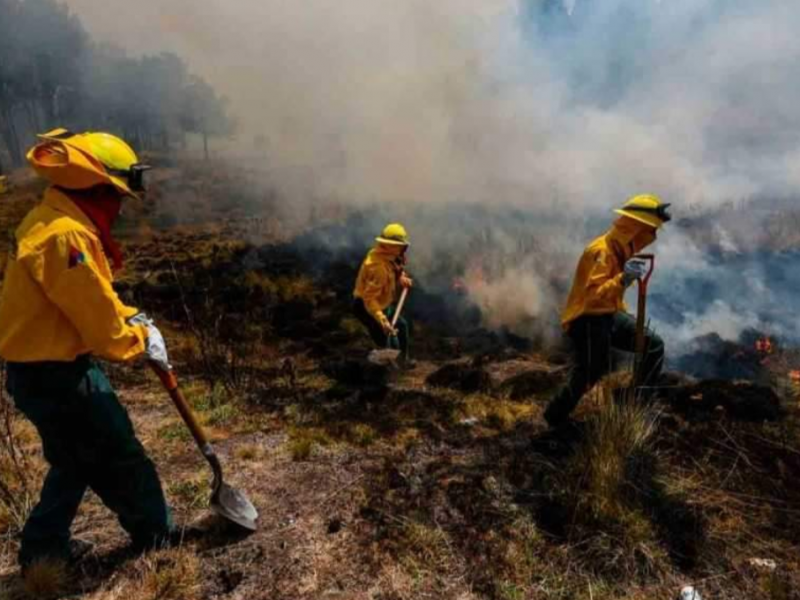 Guerrero entre los estado con mayor número de incendios