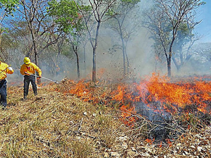 Guerrero registra ocho incendios forestales durante enero