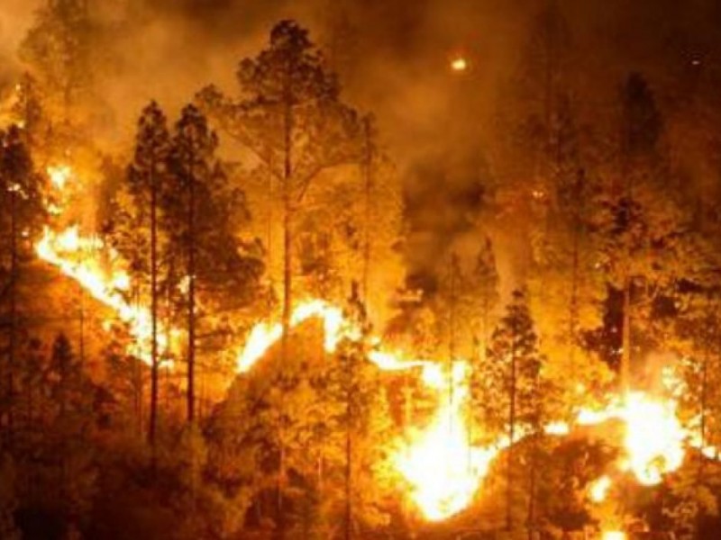 Guerrero, segunda entidad con mayor afectación por incendios forestales