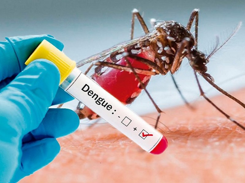 Guerrero sube a 548 casos confirmados de dengue