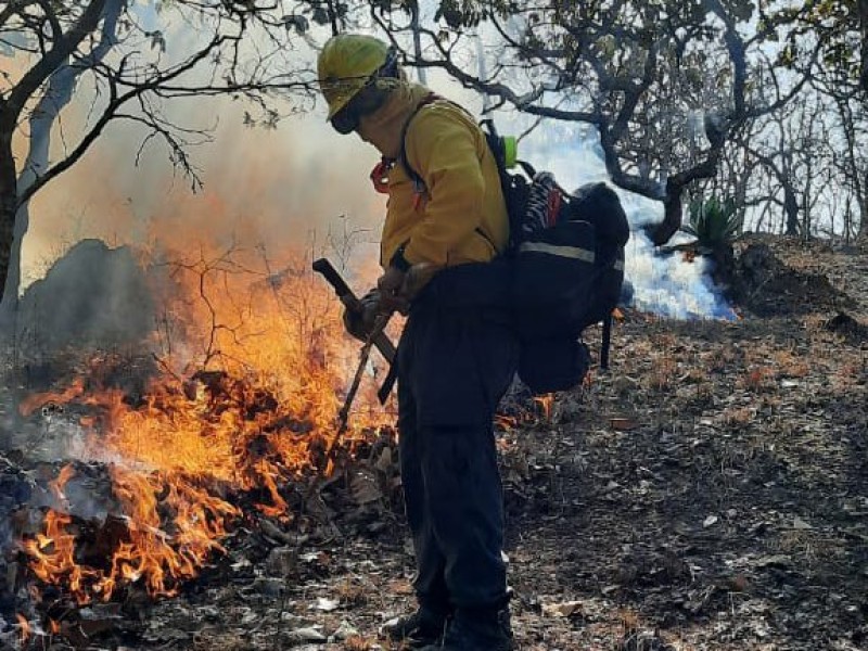 Guerrero tiene 19 incendios forestales activos