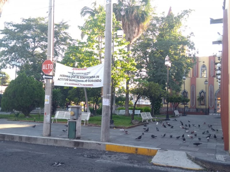 ¿Ha funcionado el programa vecino vigilante?