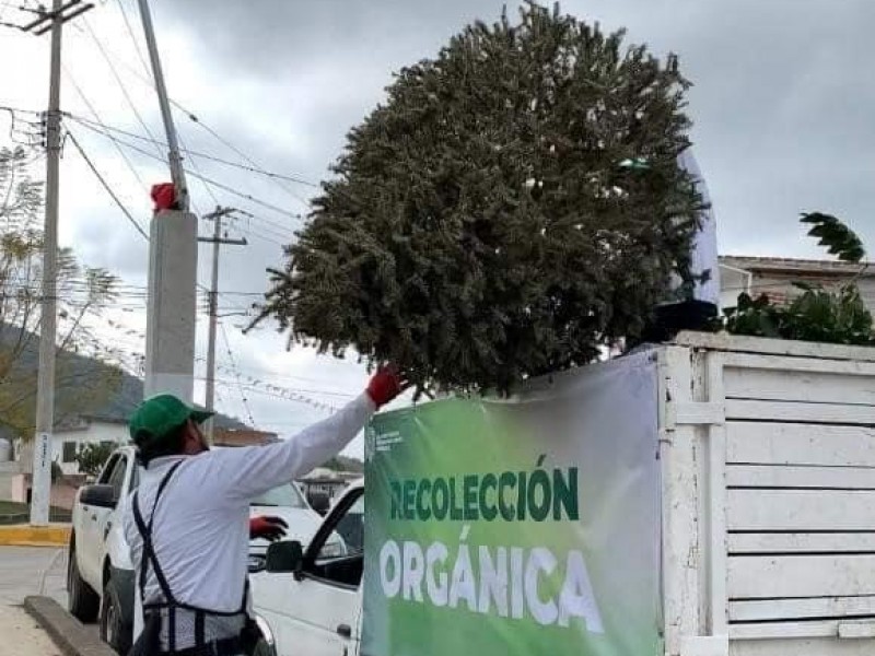 Habilitan 150 centros de acopio de ‘Recicla tu Navidad’