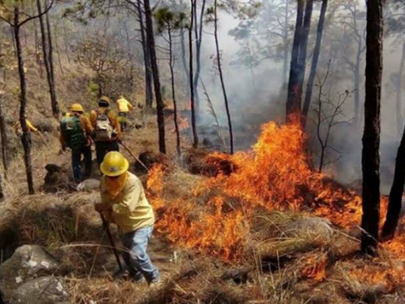 Habilitarán brigadas de apoyo para el combate de incendios forestales
